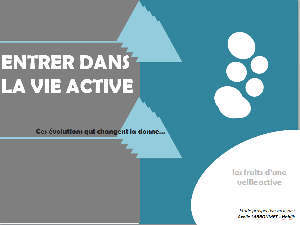 Entrer dans la vie active | Etude prospective 2014-2017